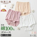 グンゼ 快適工房 綿100% ズロース レディース 婦人 やわらか 高齢者 70代 80代 90代 シニア ショーツ パンツ パンティ 下着 肌着 コットン インナー 定番 シンプル ロングセラー 女性 GUNZE KQ3068 S M L LL 3L