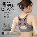 グンゼ ハーフトップブラ レディース 年間 トゥシェ ノンワイヤーブラ 美姿勢 肩甲骨 姿勢 補正 矯正 補整 補整下着 猫背 吸汗速乾 メッシュ 通気性 ムレ GUNZE Tuche JB6011H JB6011N M-LL