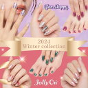 【2024年9月度 月間優良ショップ受賞店】ネイルシール 貼るだけ 2024 Winterl Collection! 推し活 マニキュア ネイル 速乾 ラメネイ...