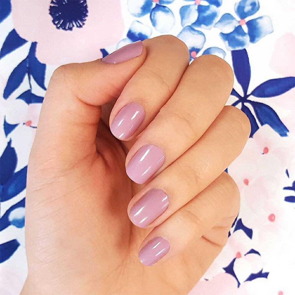 �ͥ��륷���� Ž����� �Ų����� ����ץ� ���ե����ͥ��� ���󥳥� �ޥ˥��奢 �ԥ� �ͥ��� ®�� �����⡼�� �䤷�� �եåȥͥ��� ����եͥ��� ��û�ͥ��� INCOCO