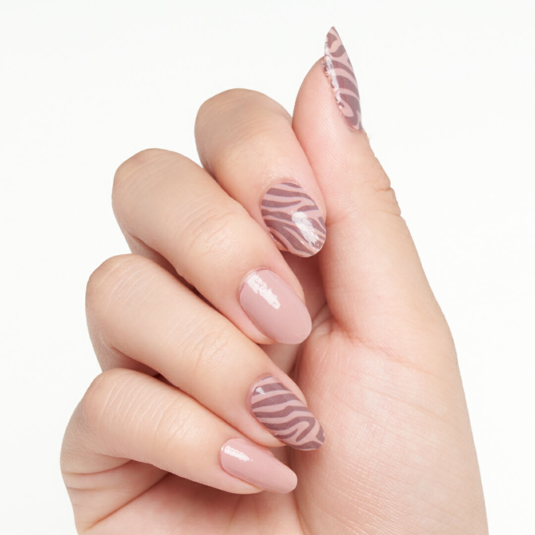 �ͥ��륷���� Ž����� �ͥ��륷���� �Ų����� Ž����� ������ �ͥ��륷���� Ž����� ����ץ� Ž����� �ͥ��륷���� ���硼�� Ž����� ��ñ �ͥ��륷���� Ž����� �ͥ��륷���� ���å� INCOCO ���󥳥�