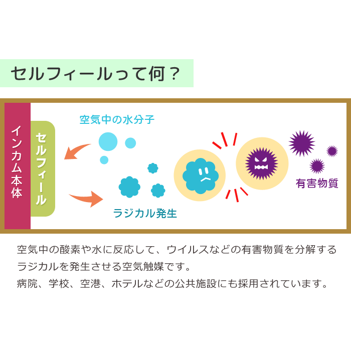 スーパーSALE限定！＼エントリーでポイント5倍!／レイガンコール 充電器