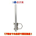 CP-035Plus コメット 三脚カメラねじ対応 簡易アルミマスト (全長350mm) ロングUボルト付属