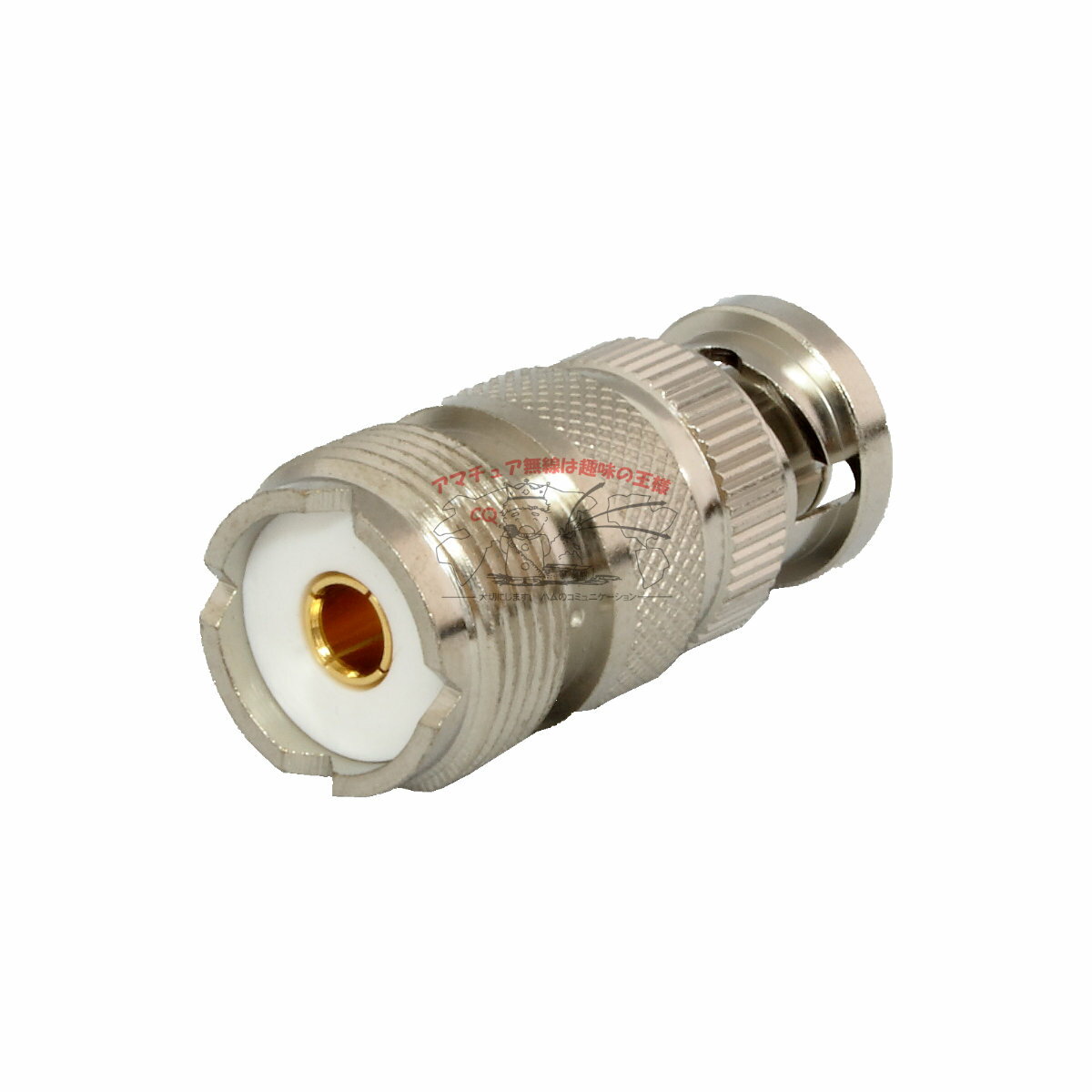 BNCP-MJ �����Ʊ�����ͥ����� �Ѵ����ͥ�����