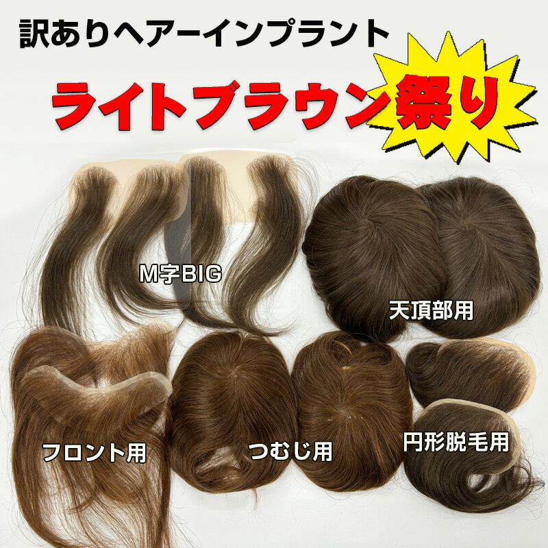 【訳ありアウトレット】ヘアーインプラントEX「ライトブラウン祭り」※本体のみ※