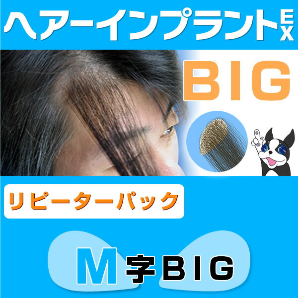（リピーターパック）ヘアーインプラントEX M字用BIG(部分かつら)※強力テープ貼り付け済み