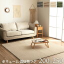 【 200×250 】【 レミール 】 ラグ ボリューム なめらか 低反発 オールシーズン シンプル なめらか 滑りにくい ふっくら カーペット マット 無地 ...