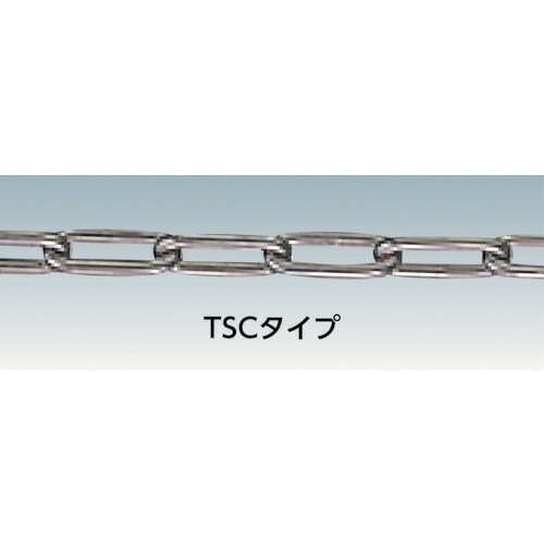 【品番】TSC-4010【メーカー】トラスコ中山（株）【JAN】4989999821918【販売単位】1本※掲載画像は代表画像です。シリーズ共通の画像を使用している場合があり、お届けは商品名に記載の型番・数量となります。■特長ステンレス製でサビにくく、耐久性に優れます。リンク：溶接止め■仕様ブランド名:TRUSCO（トラスコ中山（株））該当:RoHS2全長(m):10内幅W(mm):6.5製造国:日本内長P(mm):26線径d(mm):4使用荷重(kN):1.67