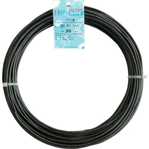 DAIDOHANTなまし鉄線＃8×30M3KG 10155334