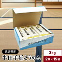 阿波半田手のべ 本格 半田そうめん 3kg (100g×2束×20袋) 徳島県産 太麺仕上げ 強いコシとなめらかな喉越し