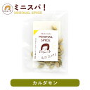 印度カリー子 の カルダモン ホール 4g レモンのような爽やかな香り付けに | ミニスパ!使い切りサイズでいつでも香り新鮮 MINIMAL SPICE