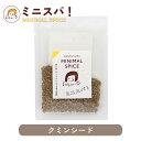 印度カリー子 の クミン シード ホール 7g エスニックなアクセントのある香り付けに | ミニスパ!使い切りサイズでいつでも香り新鮮 MINIMAL SPICE