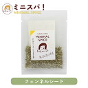印度カリー子 の フェンネル シード ホール 6g ハーブのような爽やかな甘い香り付けに | ミニスパ!使い切りサイズでいつでも香り新鮮 MINIMAL SPICE
