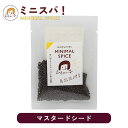 印度カリー子 の ブラウン マスタードシード 9g 素焼きナッツの様な香ばしい香り付けに | ミニスパ!使い切りサイズでいつでも香り新鮮 MINIMAL SPICE