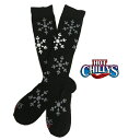 HOT CHILLYS ホットチリーズ フィエスタス ソックス 中厚 レディース 19-20 スキー スノーボード 靴下 ソックス ICBK Sサイズ 21cm...