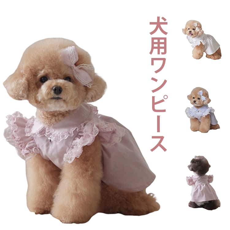 連身裙 - 春服 犬服 犬 春 犬 犬 ワンピ ドレス 犬服 犬の服 レース フリル ワンピ 服 いぬ チワワ プードル ダックスフンド 服 ドッグウェア 犬服 犬の服 ドッグウエア 犬 服 犬の服 冬用