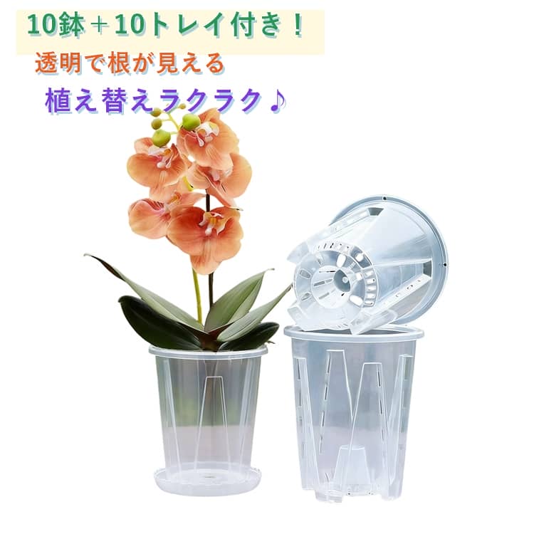 Rakuten - 透明 10鉢セット 10鉢セット 観葉植物鉢 植木鉢 プラスチック 穴付き 屋外 胡蝶蘭鉢 洋蘭鉢 10トレイ付き 穴付き 胡蝶蘭の植え替え セット 植木鉢 オーキッドポット 屋内 プランター 鉢 観葉植物 多肉植物 植え替え