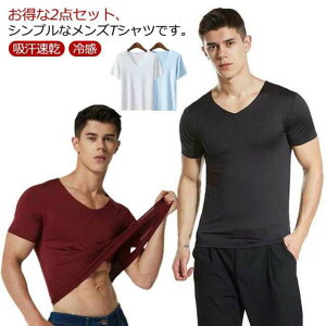 インナーTシャツ 接触冷感 アイスシルク 半袖Tシャツ 2XL ストレッチ メンズ シームレス 半袖 Tシャツ ティーシャツ スリム ルームウェア インナー 2点セット スポーツ M L XL 2点セット 3XL Vネック