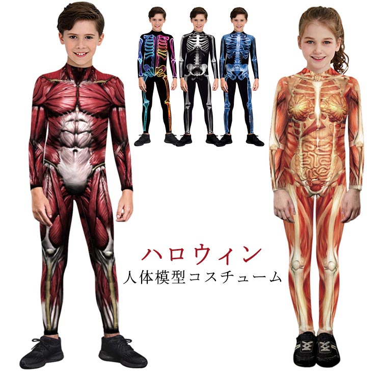 人体模型 全身タイツ コスチューム キッズ ハロウィン 長袖 ボディスーツ 子供用 男の子 女の子 筋肉 筋肉模型 医学模型 変装 仮装 コスプレ 顔出し 余興 宴会 イベント パーティー 文化祭 忘年会