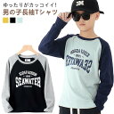 tシャツ 長袖 キッズ 男の子 コットン 子供服 Tシャツ 120 130 140 150 160 cm 春 秋 冬 カジュアル プリントTシャツ 綿 コットン 小学生 ジュニア 通学 普段着 スポーツ キャンプ アウトドア 優しい着心地 吸湿 吸汗 蚊 虫刺され予防