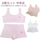 ファーストブラ キッズ ブラジャー ショーツ セット 上下セット 2着セット ジュニアブラ ボクサー 綿 コットン ボクサーショーツ 下着 小学生 女の子 イン...