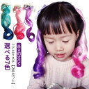 2本セット ヘア エクステ ヘアエクステ プリンセス ヘアアクセサリー ヘアピン ウィッグ キッズダンス衣装 子供 キッズ エクステ ガールズ ヒップホップ エ...