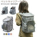 ペットキャリーバッグ リュック M 折りたたみ ペットキャリー 犬 猫 キャリー 猫用キャリー ネコ ペットバッグ ペットリュック ペット用リュック 散歩 電車...
