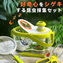 昆虫採集セット 虫かご 飼育ケース 観察ケース 虫取り網 拡大鏡 ピンセット付き 子ども 夏休み 自由研究
