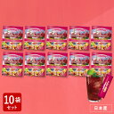 【訳あり59%OFF】10箱セット 生酵素×ザクロドリンク 個包装20包(20日分)植物発酵エキス&ザクロエキス配合 エイジングケア 疲れ キレイ ダイエット