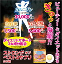 【ストロングオブベスト3サプリ 240粒】【 アウトレット 】約30日分 カルニチン コエンザイムQ10 αリポ酸 バイオペリン ダイエット サプリメントあす楽 送料無料