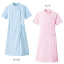 ソフトピケトリコット スタンドカラーワンピースナース服 ナースウェア レディース 女性 白衣 ワンピース 医療用 クリニック 歯科医 介護士 ユニフォーム アン...