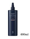 【訳あり】資生堂プロ サブリミック サロンソリューション イン・フィル まとまり 480ml