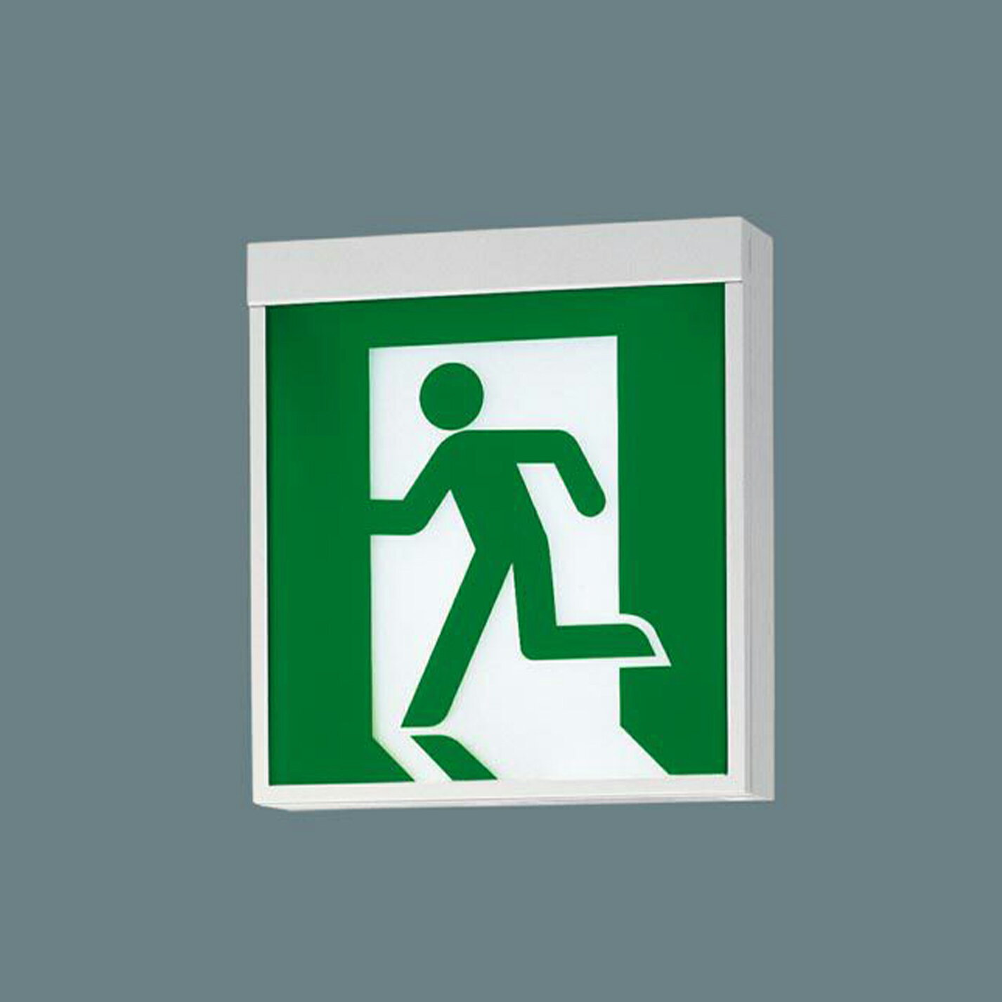 【訳あり】パナソニック 天井直付型・壁直付型・天井吊下型 LED誘導灯 片面型・長時間定格型(60分間)リモコン自己点検機能付・自己点検機能付/C級(10形) FA10316CLE1