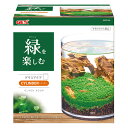 【外装箱訳あり】【丸形のクリア水槽】グラスアクア シリンダー( 1個 ) 4972547041425 筒形のクリア水槽 アクアリウム テラリウム アクアテラリウ...