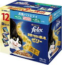 【訳あり】フィリックス パウチ 我慢できない隠し味ゼリー お魚バラエティ 50gX12袋 4902201214698