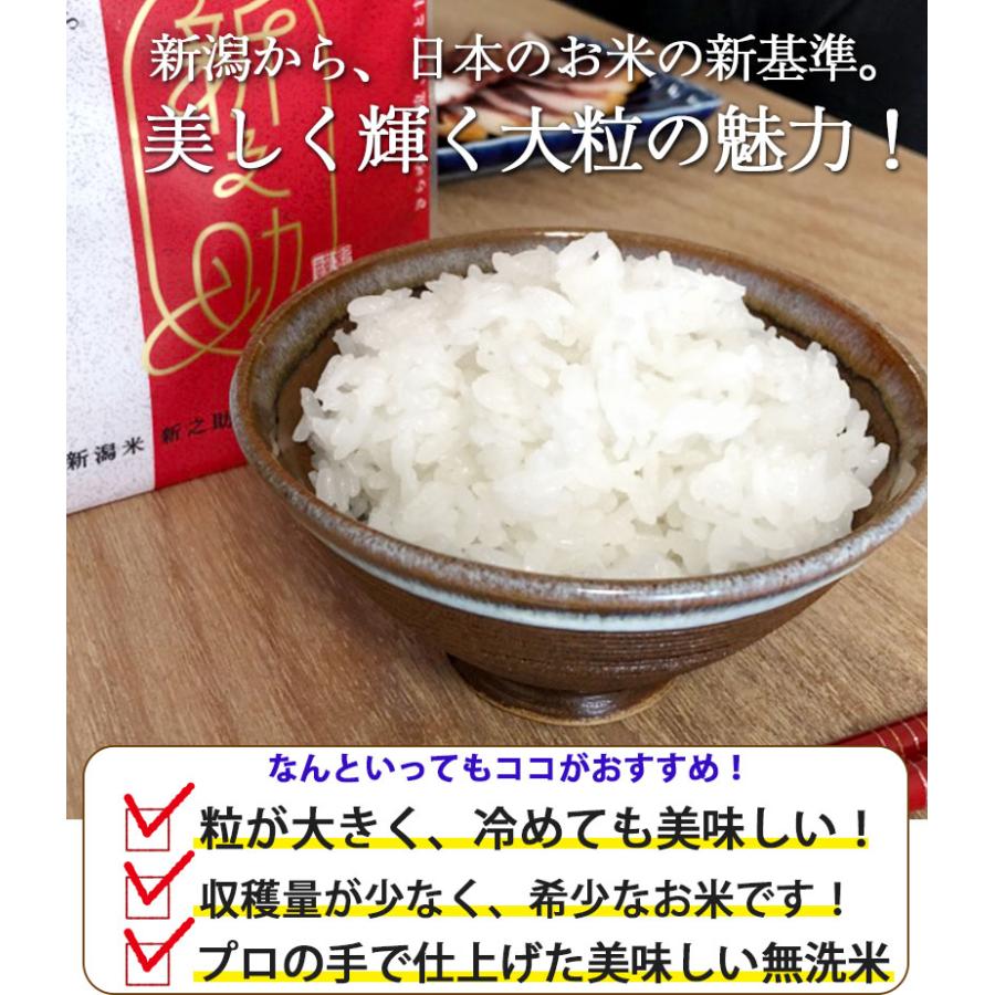 お米 5kg 10kg 白米【無洗米】新潟産新之助 送料無料 令和7年産 4952711006979 精米時期26.02.中旬