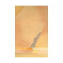 同梱不可新料紙 玉鬘 細字 5色セット 半懐紙 50枚 AG28-2