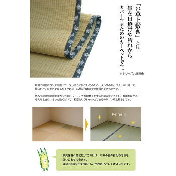 同梱不可純国産 い草 上敷き カーペット 双目織 『ほほえみ』 江戸間3畳(約176×261cm) 1104233 [2]
