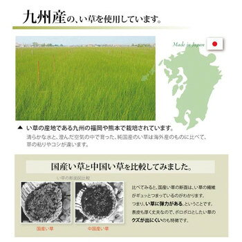 同梱不可純国産 い草 上敷き カーペット 双目織 『ほほえみ』 江戸間3畳(約176×261cm) 1104233 [3]