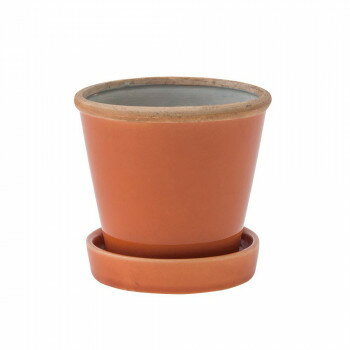 グロッシーポット アプリコット 30758