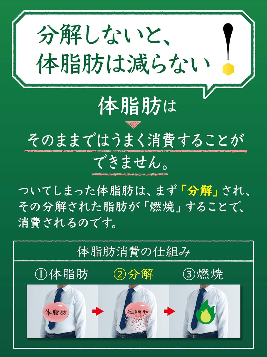 サントリー 伊右衛門 特茶 500ml 48本 24本×2ケース トクホ お茶 緑茶 ペットボトル 体脂肪減少 サントリー特茶 プレミアム ケース まとめ買い 美味しいお茶 いえもんとくちゃ 伊右衛門特茶 特定保健用食品 トクホのお茶 健康茶ペットボトル 緑茶ペットボトル 500 infomart-10059349 インフォマート サンプル画像2