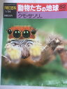 【午前9時までのご注文で即日弊社より発送！日曜は店休日】【中古】週刊朝日百科 動物たちの地球（82） 昆虫 クモ（10）クモ サソリほか 雑誌