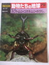 【午前9時までのご注文で即日弊社より発送！日曜は店休日】【中古】週刊朝日百科 動物たちの地球（79） 昆虫（7）カブトムシ コガネムシ ホタルほか 雑誌