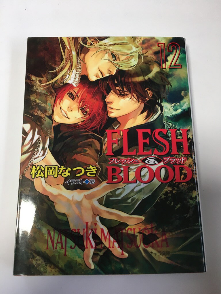 ڸ9ޤǤΤʸ¨ҤȯˤŹۡšFLESH &BLOOD12 (ʸ)