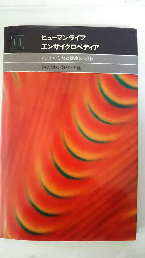 【午前9時までのご注文で即日弊社