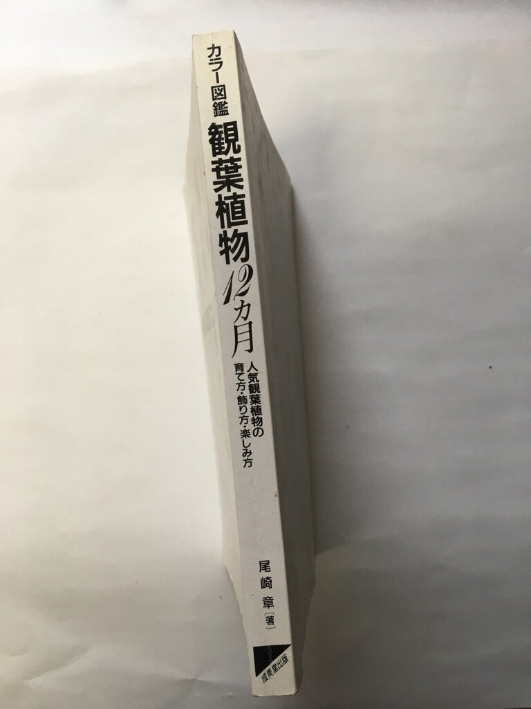 【午前9時までのご注文で即日弊社より発送！日曜は店休日】【中古】観葉植物12カ月—人気観葉植物の育て方・飾り方・楽しみ方 (カラー図鑑シリーズ)　《成美堂出版》