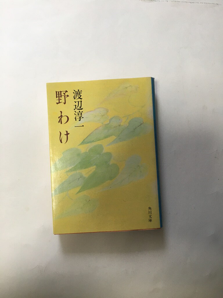 【午前9時までのご注文で即弊社よ