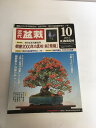 【2012年 10月号】 状態はコンディションガイドライン「可」の商品です。商品には（表紙にスレ・焼け・しみ、等）があります。★ご注文後、商品クリーニングを行い、クリスタルパック・封筒で梱包し、ゆうメール便にて発送致します◆コンディションガイドラインに準じて出品を行っておりますが、万一商品情報と異なる場合は、迅速に対応致します◆併売商品の為、売り切れの際は早急に注文キャンセルにて対応させて頂きます。あらかじめご了承くだい