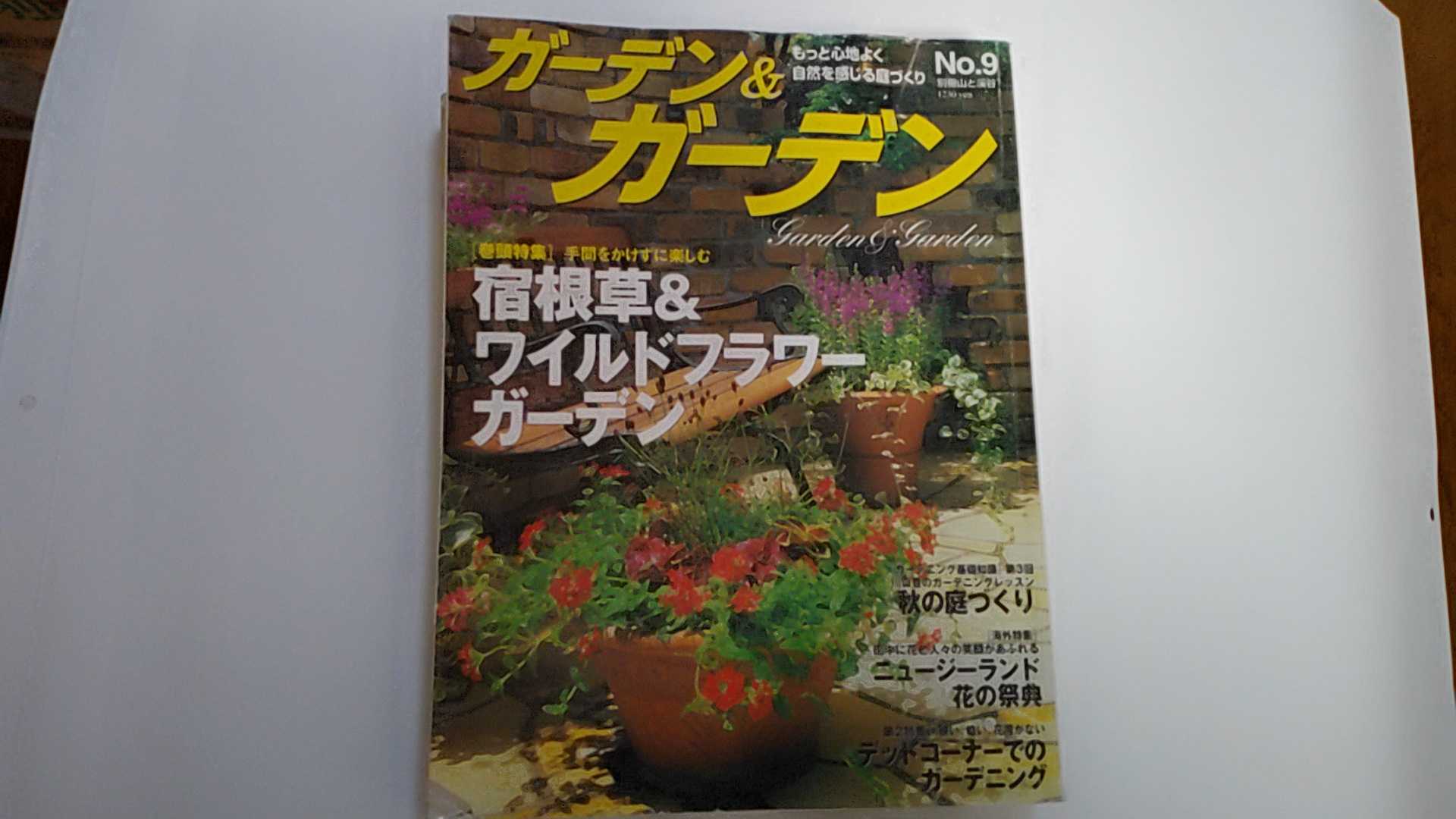 【1999年9月25日発行】状態は「可」の商品です。商品には使用感（全体に折れ、三方に軽微な焼け）があります。★ご注文後、商品クリーニングを行い、クリスタルパック・封筒で梱包し、ゆうメール便にて発送致します◆コンディションガイドラインに準じて出品を行っておりますが、万一商品情報と異なる場合は、迅速に対応致します◆併売商品の為、売り切れの際は早急に注文キャンセルにて対応させて頂きます。あらかじめご了承ください