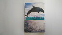 【中古】イルカが人を癒す《KKベストセラーズ》【午前9時までのご注文で即日弊社より発送！日曜は店休日】